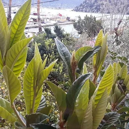 Cennet Pansiyon Konukevi